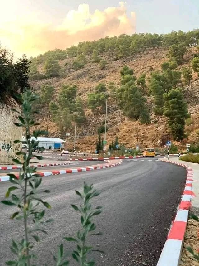 يافا | موسوعة القرى الفلسطينية